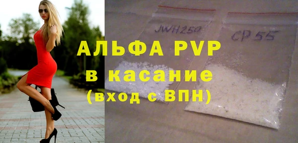 сатива Новодвинск