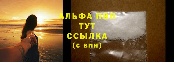 сатива Новодвинск