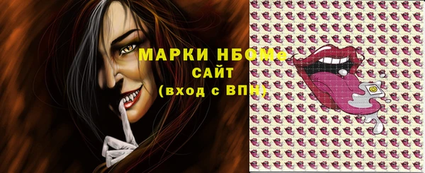 сатива Новодвинск