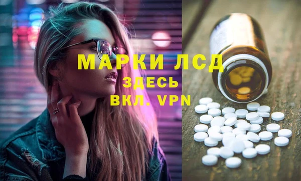 сатива Новодвинск