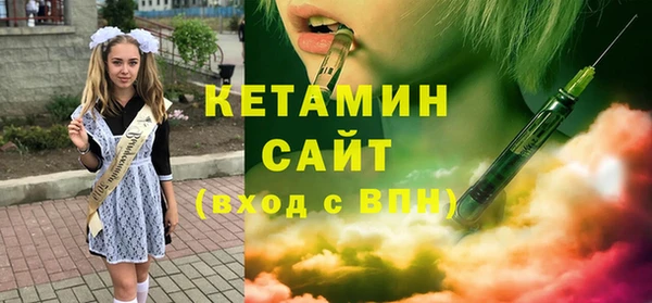 сатива Новодвинск