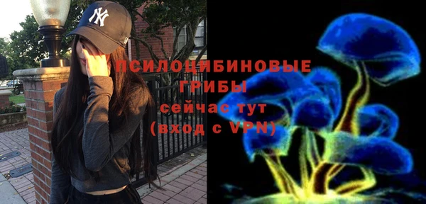 СК Гусь-Хрустальный