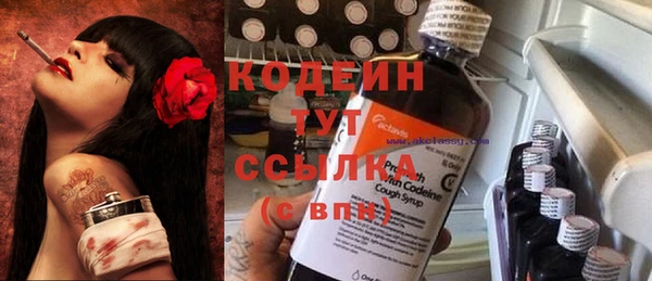 сатива Новодвинск