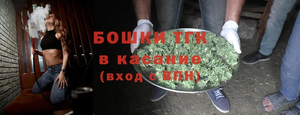 сатива Новодвинск