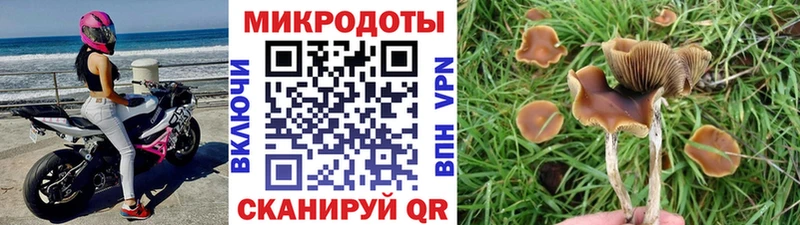 Псилоцибиновые грибы мицелий  где купить   Кодинск 