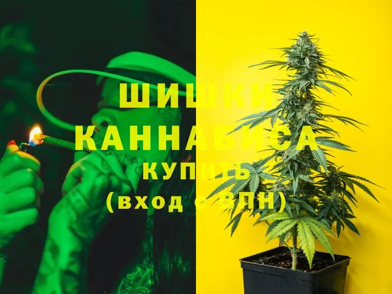 Бошки марихуана SATIVA & INDICA  цены наркотик  Кодинск 